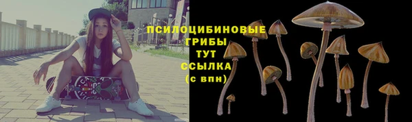 амф Алзамай