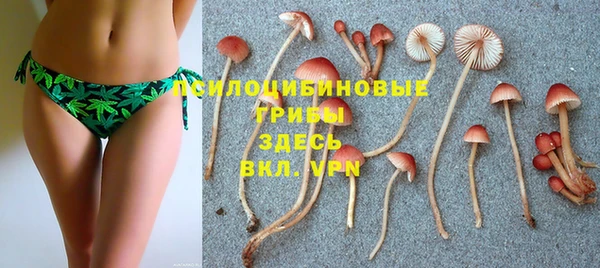 амф Алзамай