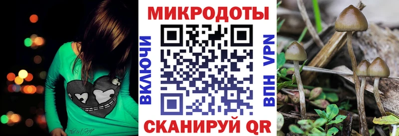 Галлюциногенные грибы Cubensis  Данилов 